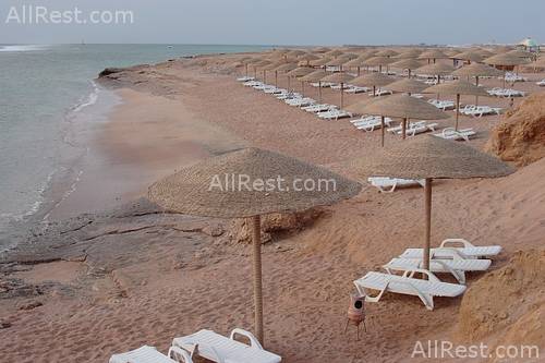 Sea Life Resort 31